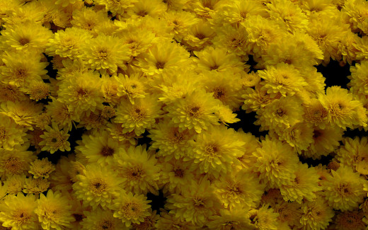 582753 (a): :1680x1050